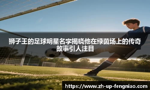 狮子王的足球明星名字揭晓他在绿茵场上的传奇故事引人注目